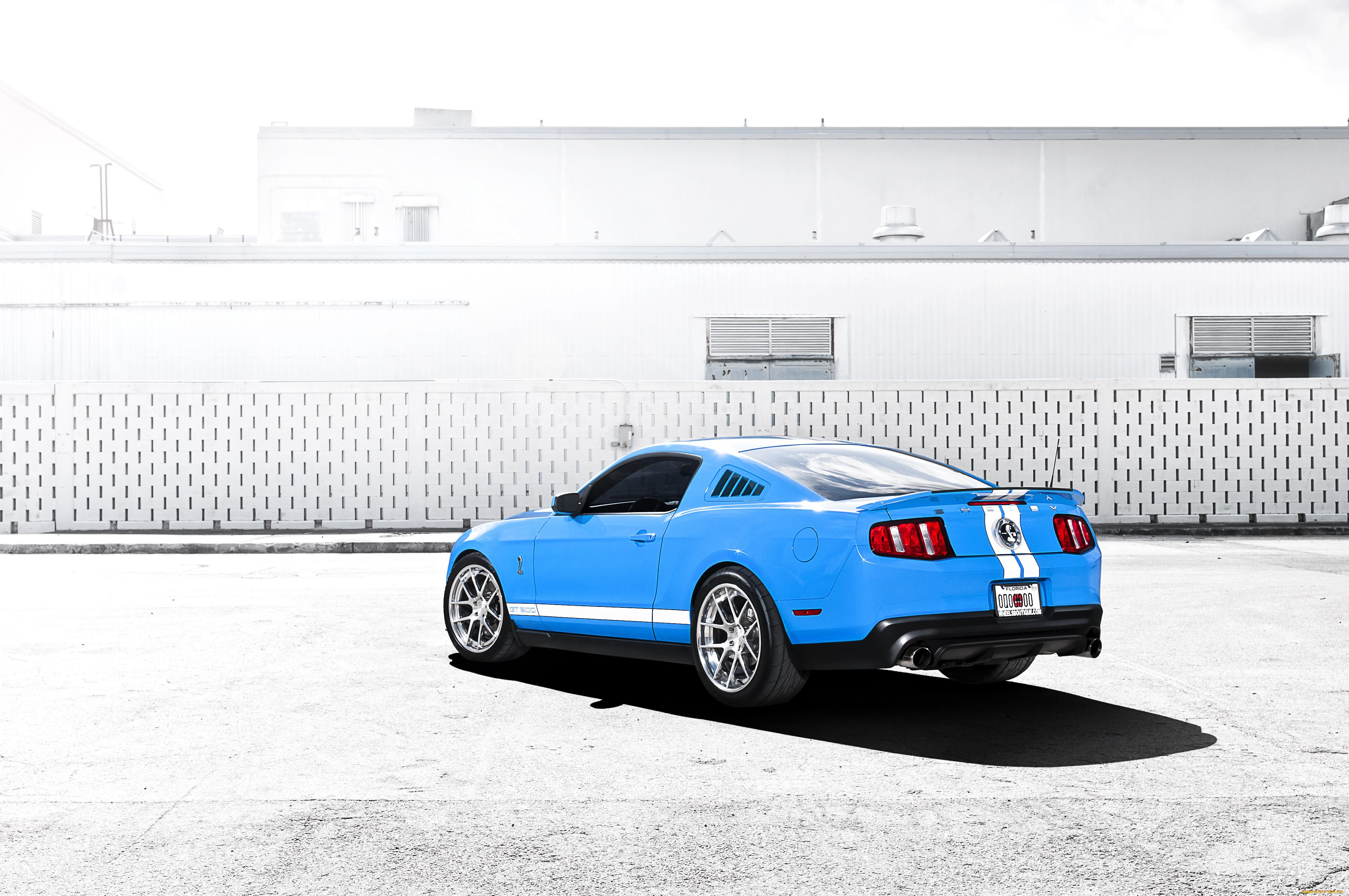 , mustang, ford, , , gt500, shelby, , , 